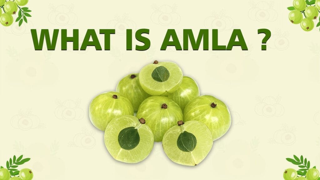 WHAT IS AMLA