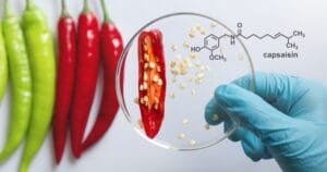 capsaicin