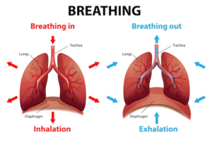 processbreathing