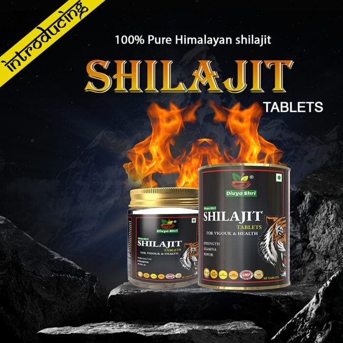 shilajit tablets