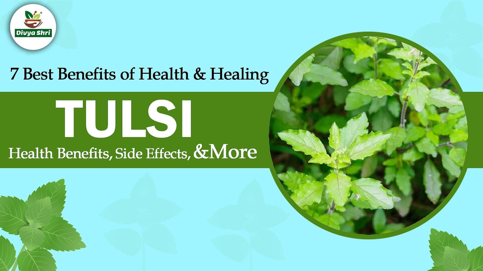 Tulsi banner