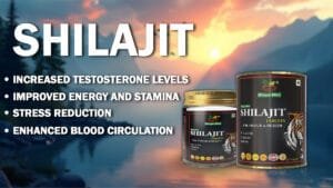 Shilajit Tablets: The Power of Ancient Healing