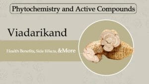 Phytochemistry and Active Compounds