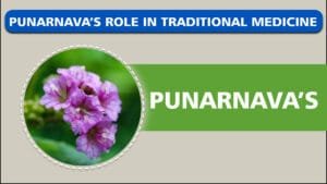 Phytochemical Composition of Punarnava