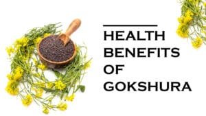 Health Benefits of Gokshura:
