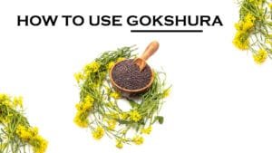 How to Use Gokshura:
