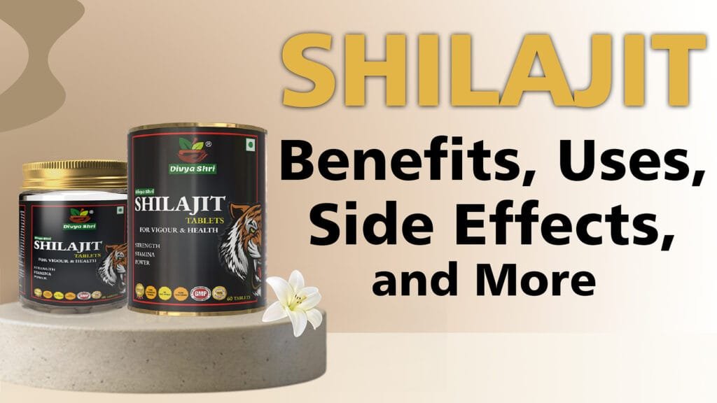 shilajit tablet