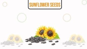 Sunflower Seeds