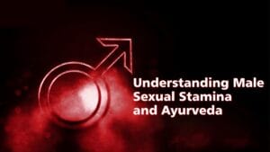Understanding Male Sexual Stamina and Ayurveda