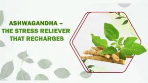 Ashwagandha – The Stress Reliever That Recharges