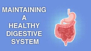 Maintaining a Healthy Digestive System