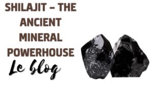 Shilajit – The Ancient Mineral Powerhouse