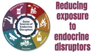 Reducing Exposure to Endocrine Disruptors
