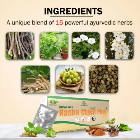 Nasha Mukti Plus sachet ingredinets