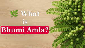 what is Bhumi amla