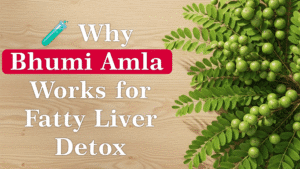 Why Bhumi Amla Works for Fatty Liver Detox