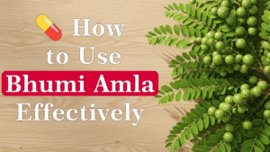 How to Use Bhumi Amla Effectively