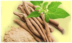Ashwagandha