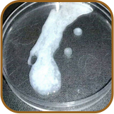 ऊर्जा और स्टैमिना