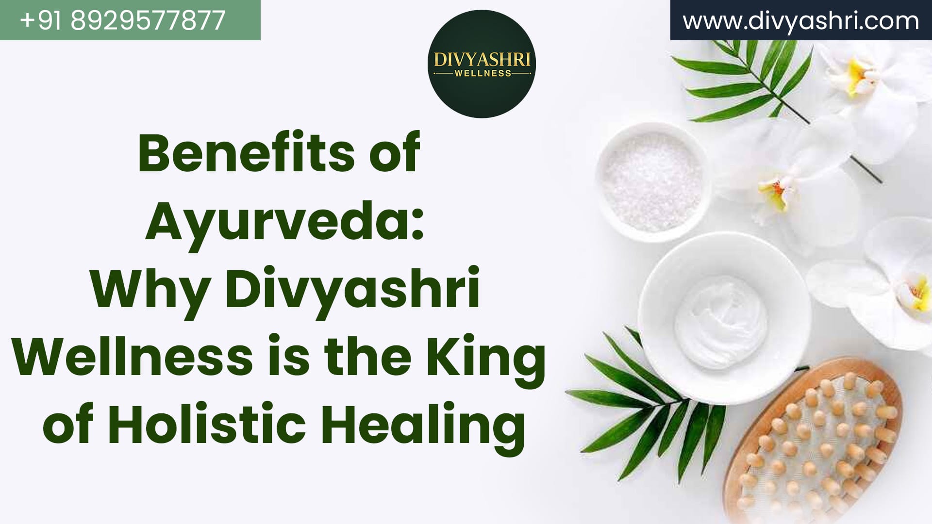 Benefits of Ayurveda: Why Divyashri Wellness is the King of Holistic Healing