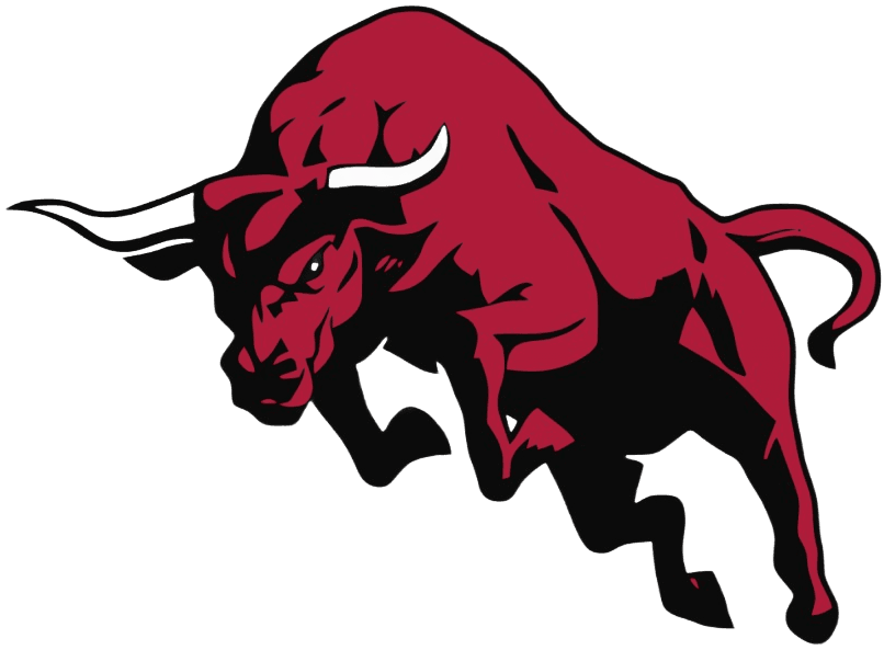 Bull